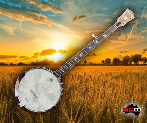 bluegrass banjo country.